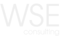 Whole Skills Education Consulting logo